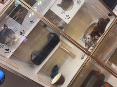 -老炮儿轰趴团建KTV桌游棋牌主题馆(五道口店（底商店))