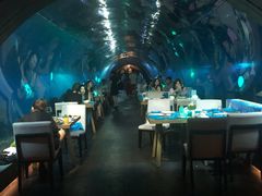 大堂-海棠湾洲际-涛·海底餐厅·美人鱼·自助餐·海底隧道