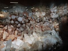 -美国自然历史博物馆