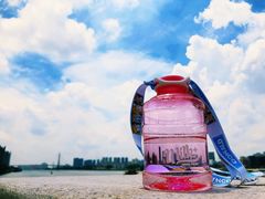 -milkplus·泰式奶茶(较场东路店)