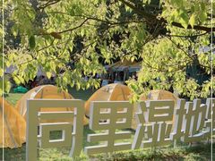 -同里国家湿地公园