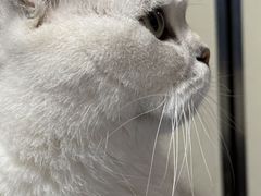 -康旭宠物医院(郑州总院)