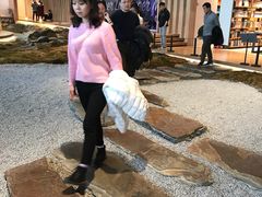 -Seesaw Coffee(朝阳大悦城店)