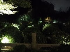 -十八棵（老龙井）御茶园(老龙井店)