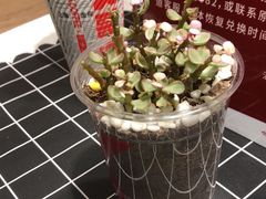 -肯德基(开元店)