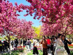 -石家庄市植物园