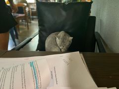 -咖法森林·咖啡  酒吧(天河店)