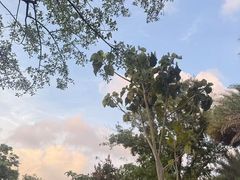 -白石龙音乐公园