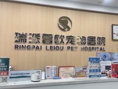-瑞派雷欧宠物医院·24h夜诊·心脏骨科牙科·全科重症转诊中心(无影山店)