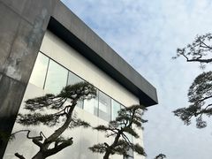 -罗红摄影艺术馆