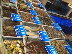 -双井轩(双井店)