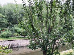 -元大都城垣遗址公园