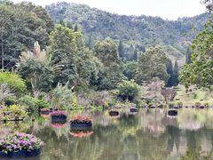 -深圳仙湖植物园