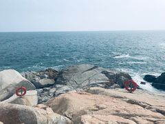 -广东惠东海龟国家级自然保护区
