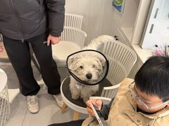 -关爱宠物医院·猫科中心·消化科(滨湖万达分院)