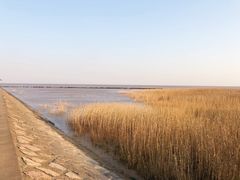 -南汇嘴观海公园