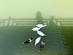 -乌村