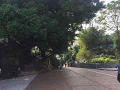 -九龙公园