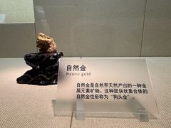 -广东省博物馆