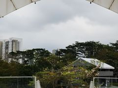 -白石龙音乐公园