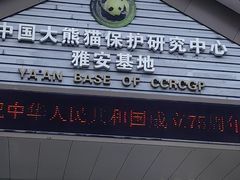 -中国大熊猫保护研究中心雅安碧峰峡基地