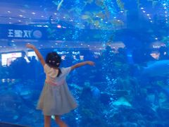 -成都浩海立方海洋公园