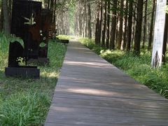 -黄海国家森林公园