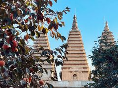 -北京石刻艺术博物馆(五塔寺)