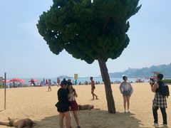 -青岛第一海水浴场