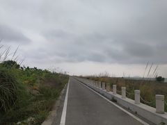 -芒洲湿地公园