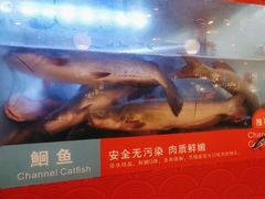 -三江源活鱼现烤(维多利摩尔城店)