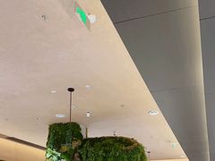 -阿露佳·舌尖上的安吉菜