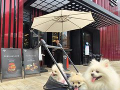 -Nord Grill&Bar Highland诺德西餐(深圳欢乐海岸店)