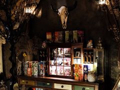 -雪灵魔法世界SHELLY’S TAROT(大良桂畔里店)