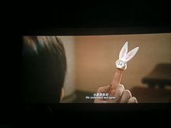 -华谊兄弟影院(IMAX洋桥店)