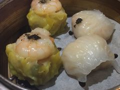 -糖朝(尖沙咀店)