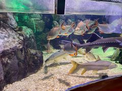 -太平洋海底世界