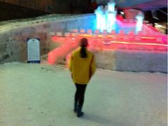iphone_upload_pic-世界之窗阿尔卑斯冰雪世界