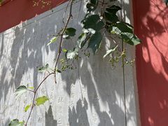 -妙峰山风景名胜区