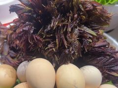 -77号·蒸海鲜青岛菜(积米崖店)