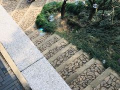 -香雪海