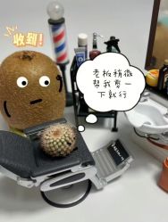 -秦·专注剪发