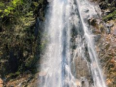 -姑婆山旅游区