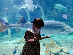 -华夏文旅海洋公园