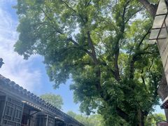 -内蒙联营烧麦 草原石榴红(护国寺店)