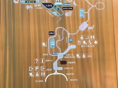 -普洱太阳河森林公园