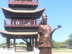 -荷花大观园