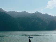 -羚羊峡古栈道森林公园