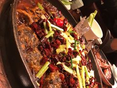 -老板恋上鱼(荣盛广场店)