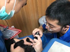 -宠福鑫动物医院·动物疾病诊疗中心(天通苑店)